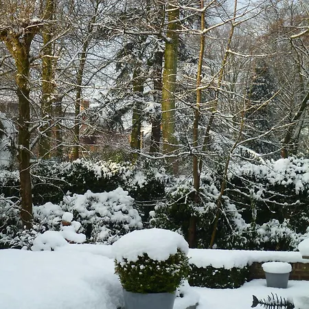 Speelmansrei 4* Bruggy